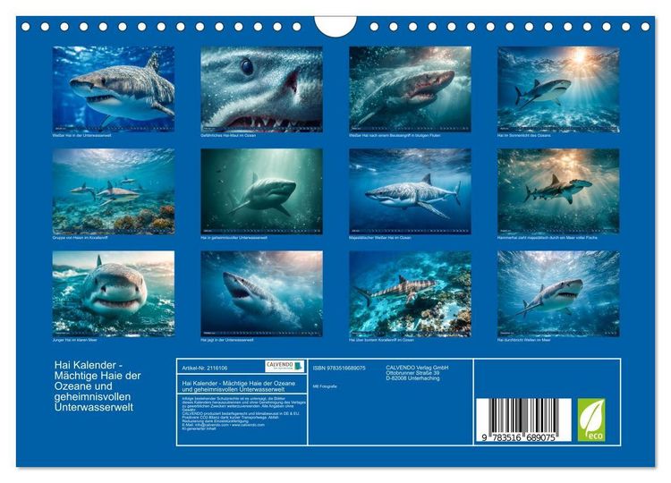 Produktbild: Hai Kalender - M&auml;chtige Haie der Ozeane und geheimnisvollen Unterwasserwelt (Wandkalender 2026 DIN A4 quer), CALVENDO Monatskalender