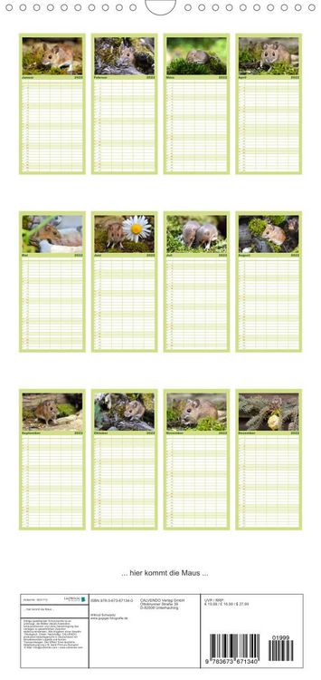 Produktbild: Familienplaner ... hier kommt die Maus ... (Wandkalender 2022 , 21 cm x 45 cm, hoch)
