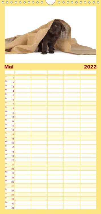 Produktbild: Familienplaner Labrador - Welpen (Wandkalender 2022 , 21 cm x 45 cm, hoch)