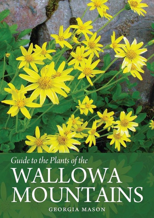 Produktbild: Guide to the Plants of the Wallowa Mountains of Northeastern Oregon