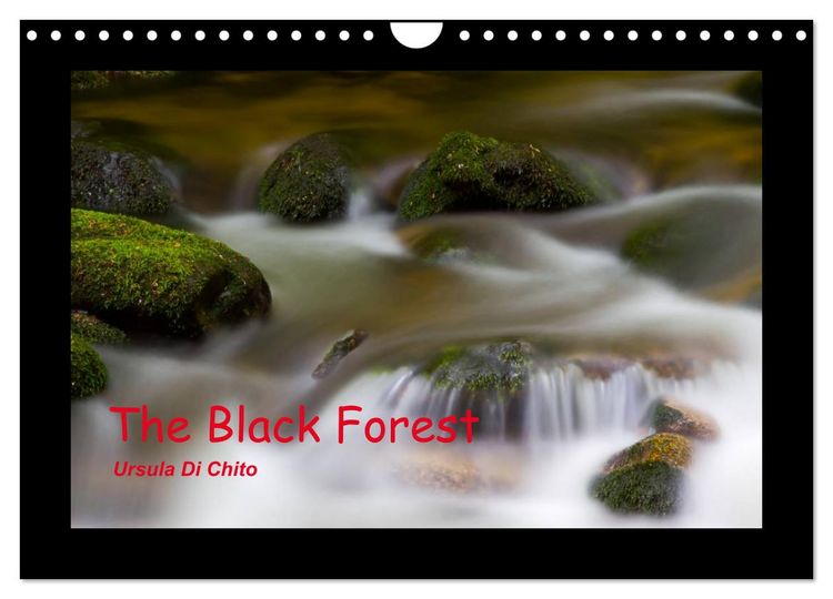 Produktbild: The Black Forest - UK Version (Wall Calendar 2026 DIN A4 landscape), CALVENDO 12 Month Wall Calendar