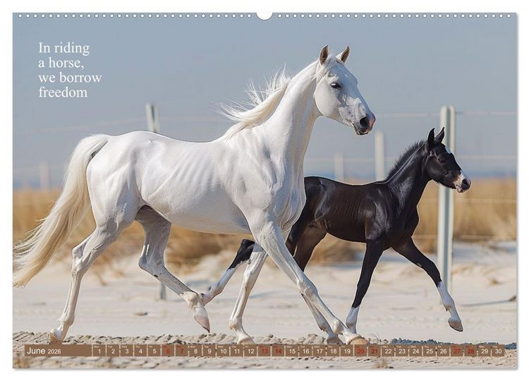 Produktbild: A Horse Makes You Complete (High Quality Premium Wall Calendar 2026 DIN A2 landscape),CALVENDO 12 Month Wall Calendar