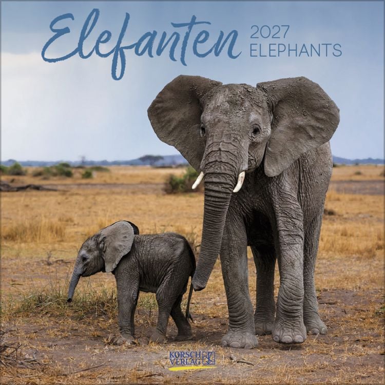 Produktbild: Elefanten 2027
