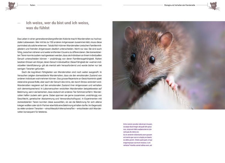 Produktbild: Ratten
