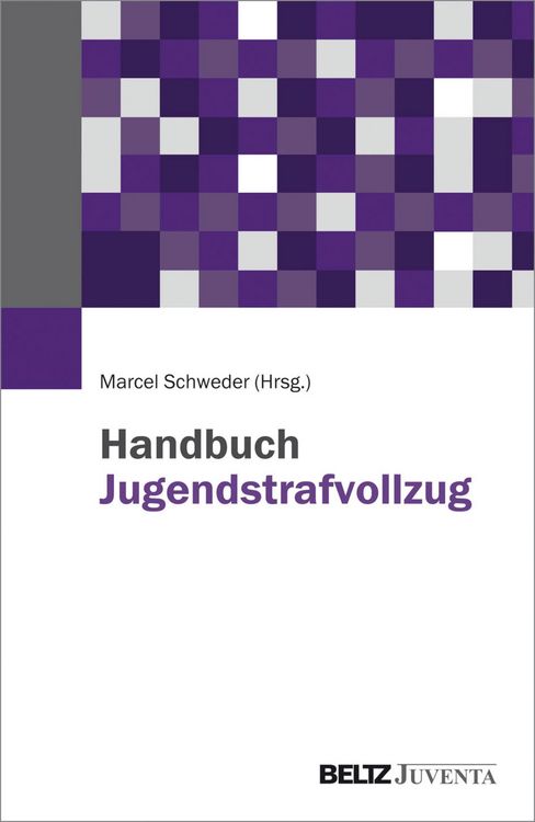 Produktbild: Handbuch Jugendstrafvollzug