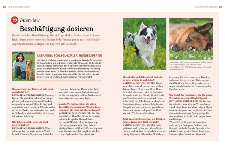 Produktbild: Praxishandbuch Hunde