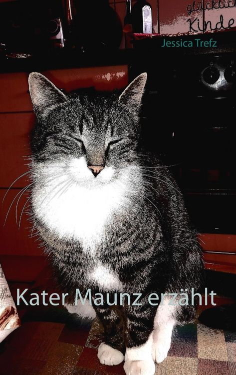 Produktbild: Kater Maunz erz&auml;hlt