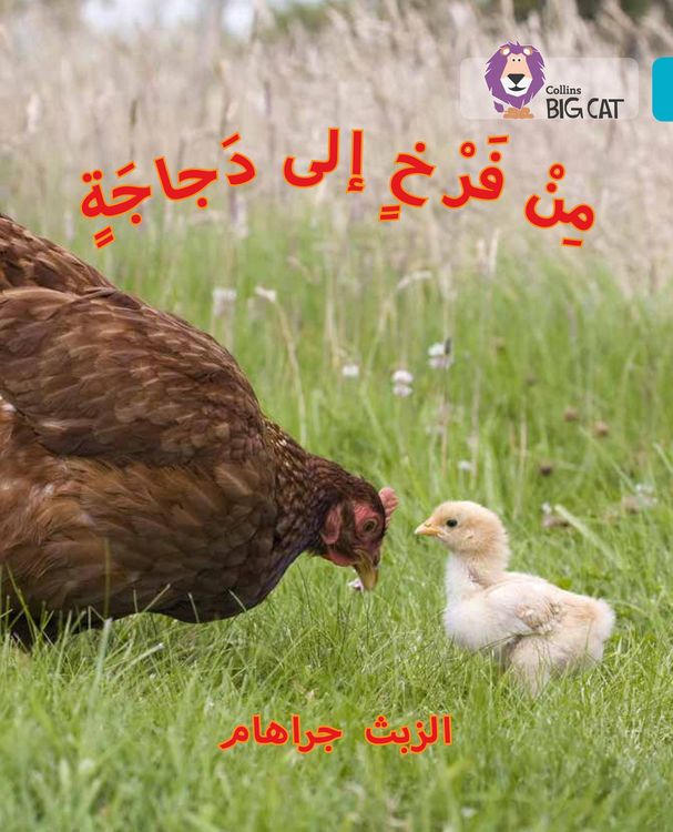 Produktbild: BIG CAT ARABIC - CHCK TO HEN