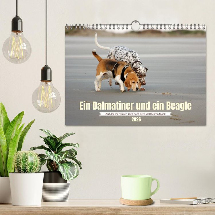 Produktbild: Ein Dalmatiner und ein Beagle - Auf der maritimen Jagd nach dem weltbesten Stock (Wandkalender 2026 DIN A4 quer), CALVENDO Monatskalender