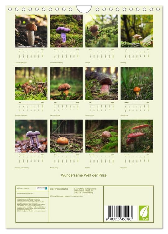 Produktbild: Wundersame Welt der Pilze (Wandkalender 2026 DIN A4 hoch), CALVENDO Monatskalender