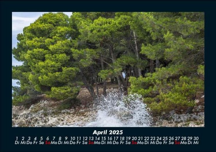 Produktbild: B&auml;ume 2025 Fotokalender DIN A5