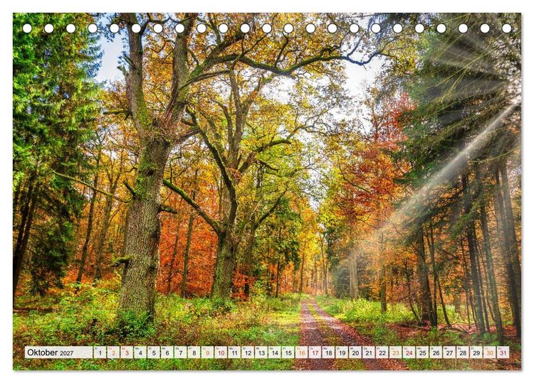 Produktbild: Naturpark Reinhardswald - Wo die Sababurg auf die Weser trifft (Tischkalender 2027 DIN A5 quer), CALVENDO Monatskalender