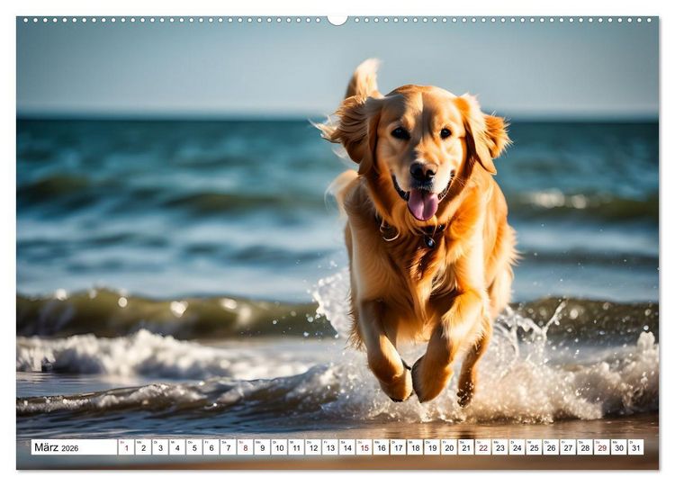Produktbild: Begeisterte Wasserratten (hochwertiger Premium Wandkalender 2026 DIN A2 quer), Kunstdruck in Hochglanz
