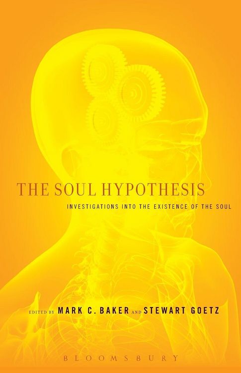 Produktbild: The Soul Hypothesis