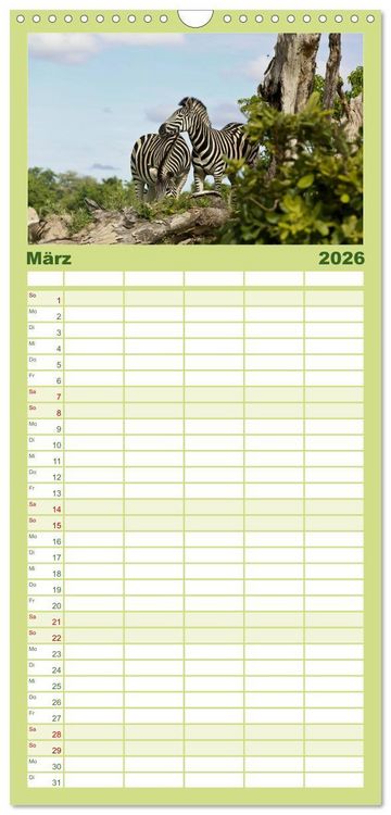 Produktbild: Familienplaner 2026 - Zebras - Faszination der Wildnis mit 5 Spalten (Wandkalender, 21 x 45 cm) CALVENDO