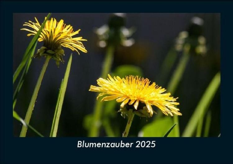 Produktbild: Blumenzauber 2025 Fotokalender DIN A5
