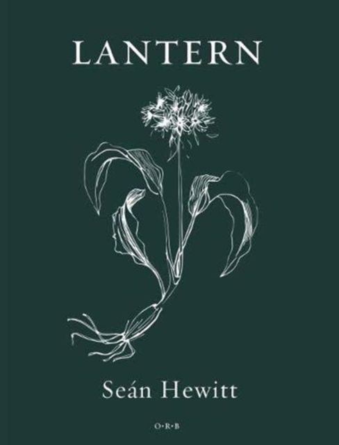 Produktbild: Hewitt, S: Lantern