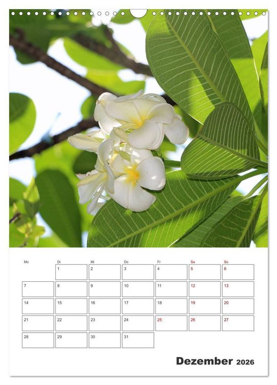 Produktbild: Hawaii - Reiseplaner (Wandkalender 2026 DIN A3 hoch), CALVENDO Monatskalender