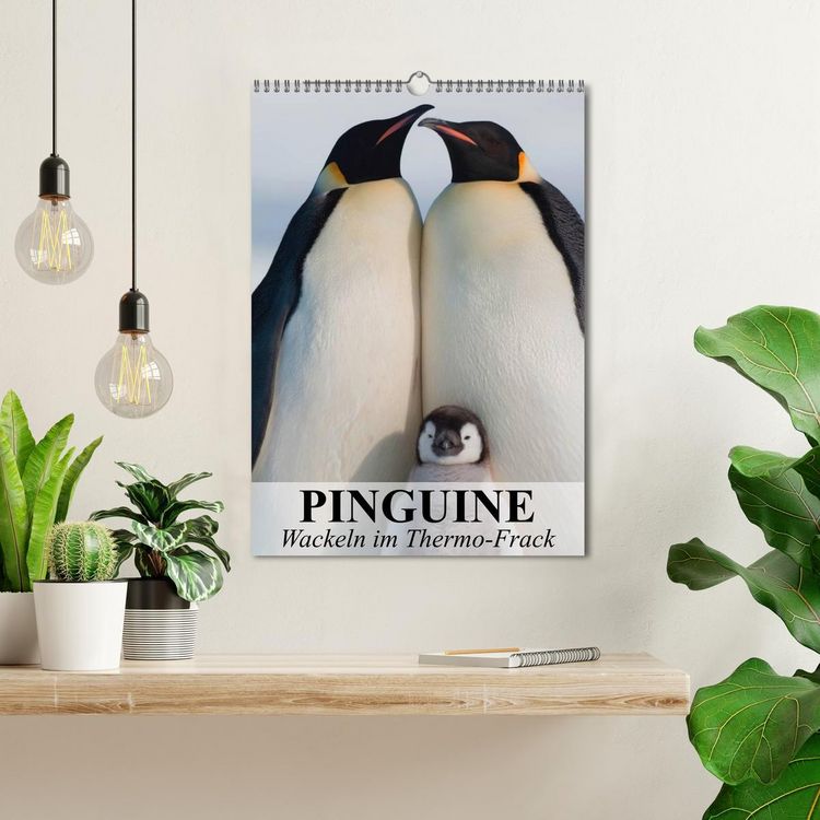 Produktbild: Pinguine - Wackeln im Thermo-Frack (Wandkalender 2026 DIN A3 hoch), CALVENDO Monatskalender