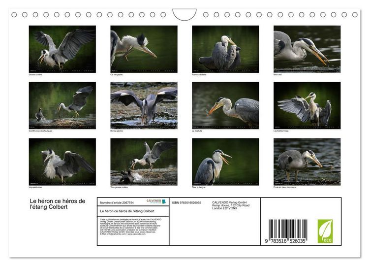 Produktbild: Le h&eacute;ron ce h&eacute;ros de l'&eacute;tang Colbert (Calendrier mural 2026 DIN A4 vertical), CALVENDO calendrier mensuel