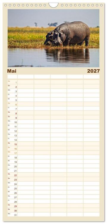 Produktbild: Familienplaner 2027 - Hippos - Gef&auml;hrliche Giganten mit 5 Spalten (Wandkalender, 21 x 45 cm) CALVENDO