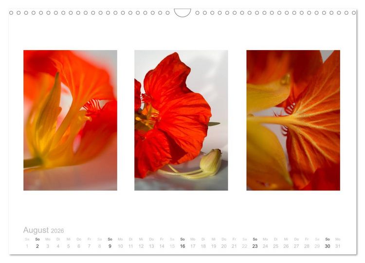 Produktbild: Blumen Trilogien (Wandkalender 2026 DIN A3 quer), CALVENDO Monatskalender
