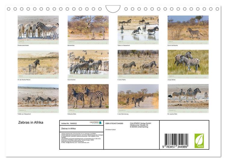 Produktbild: Zebras in Afrika (Wandkalender 2026 DIN A4 quer), CALVENDO Monatskalender