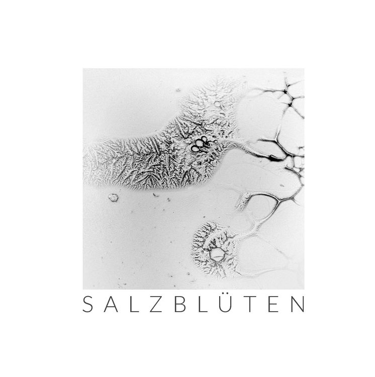 Produktbild: Salzbl&uuml;ten