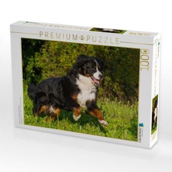 Produktbild: CALVENDO Puzzle Berner Sennenhund auf der Wiese | 1000 Teile Lege-Gr&ouml;&szlig;e 64x48cm Foto-Puzzle f&uuml;r gl&uuml;ckliche Stunden