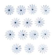 Produktbild: Sticker Einzelbl&uuml;ten, hellblau