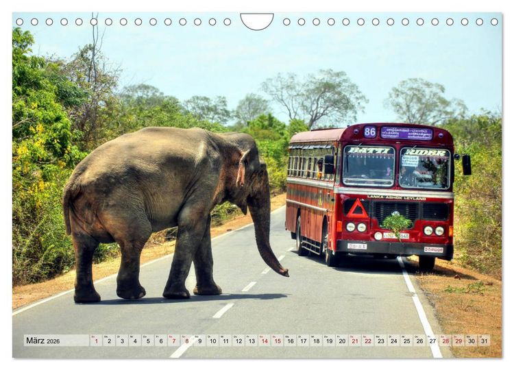 Produktbild: Sri Lanka - Tempel, Tee und Elefanten (Wandkalender 2026 DIN A4 quer), CALVENDO Monatskalender