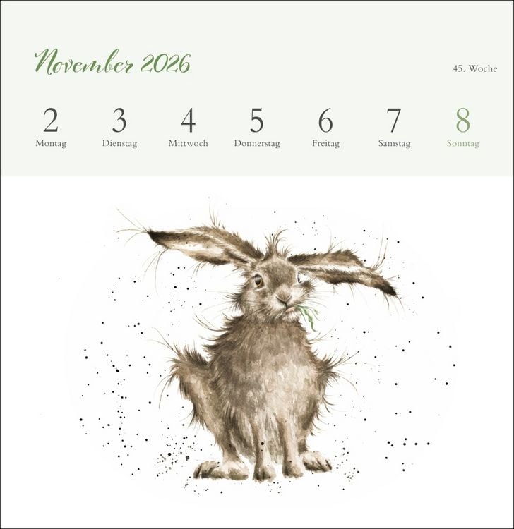 Produktbild: Hannah Dale: Happy Animals Premium-Postkartenkalender 2026