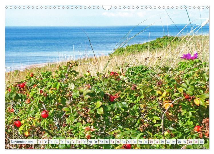 Produktbild: Kurische Nehrung: am l&auml;ngsten Ostsee-Strand (Wandkalender 2026 DIN A3 quer), CALVENDO Monatskalender