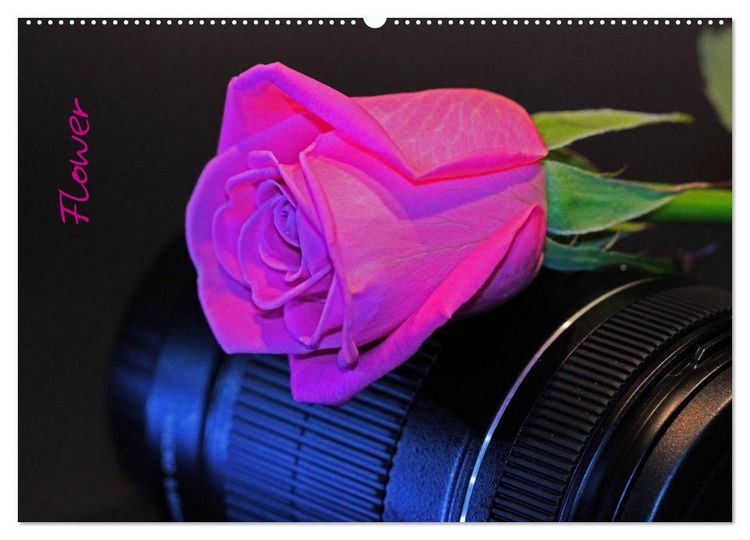 Produktbild: Flower (Wandkalender 2026 DIN A2 quer), CALVENDO Monatskalender