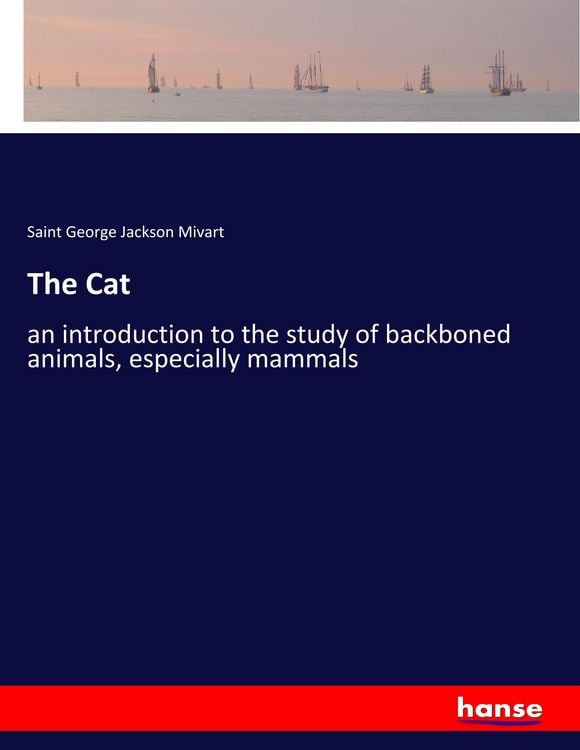 Produktbild: The Cat