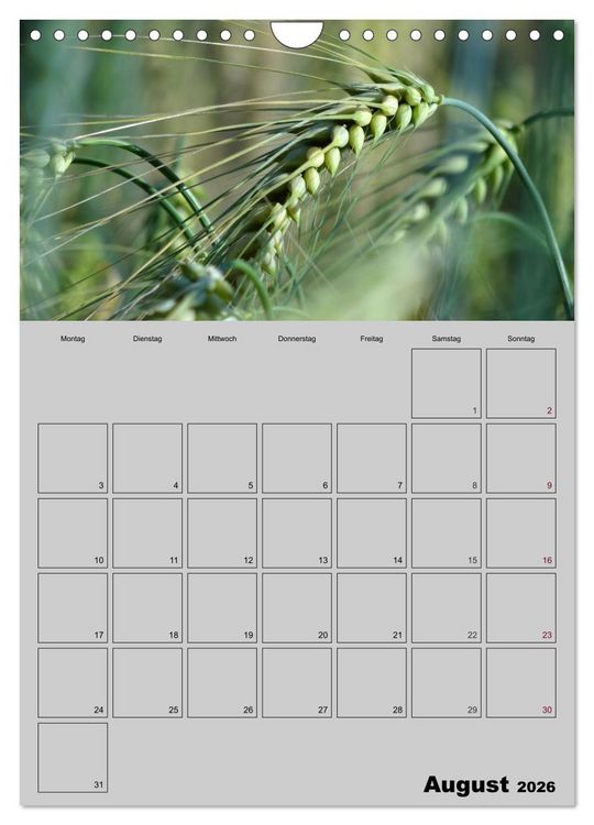 Produktbild: Zeitgewinn (Mein Terminplaner) (Wandkalender 2026 DIN A4 hoch), CALVENDO Monatskalender