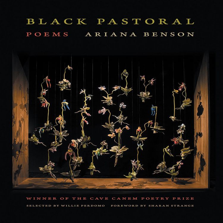 Produktbild: Black Pastoral