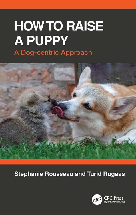 Produktbild: How to Raise a Puppy