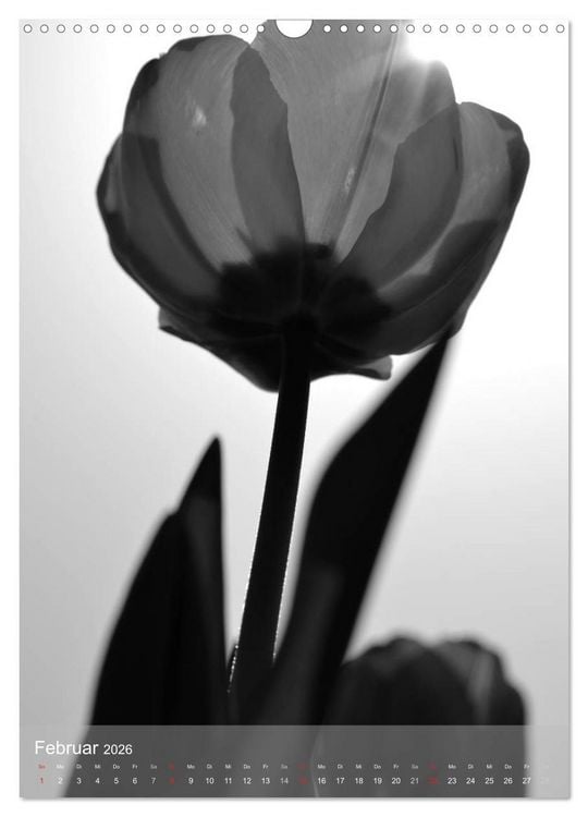 Produktbild: Monochrome Bl&uuml;ten - In Schwarz-Wei&szlig; Bildern durch das Jahr (Wandkalender 2026 DIN A3 hoch), CALVENDO Monatskalender