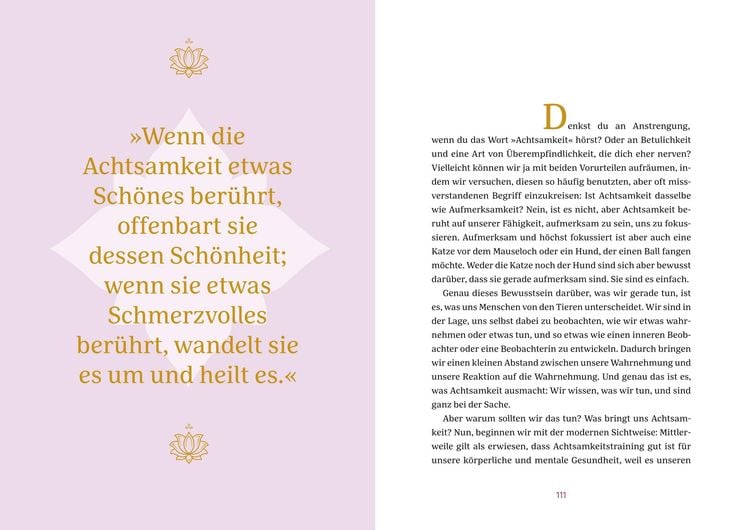 Produktbild: Buddhas Weisheit in 40 Spr&uuml;chen