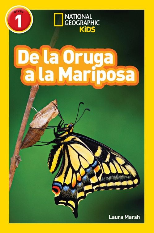 Produktbild: National Geographic Readers: de la Oruga a la Mariposa (Caterpillar to Butterfly)