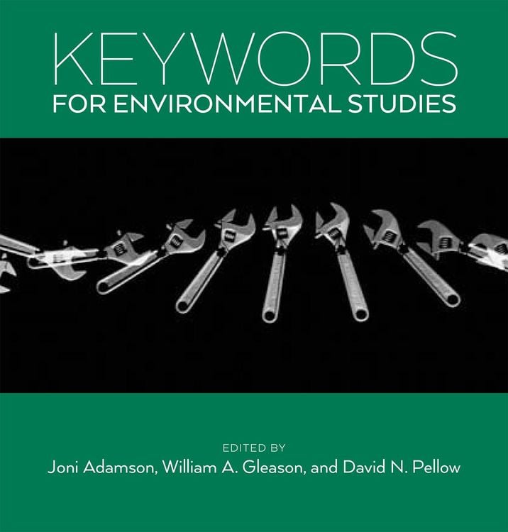 Produktbild: Keywords for Environmental Studies