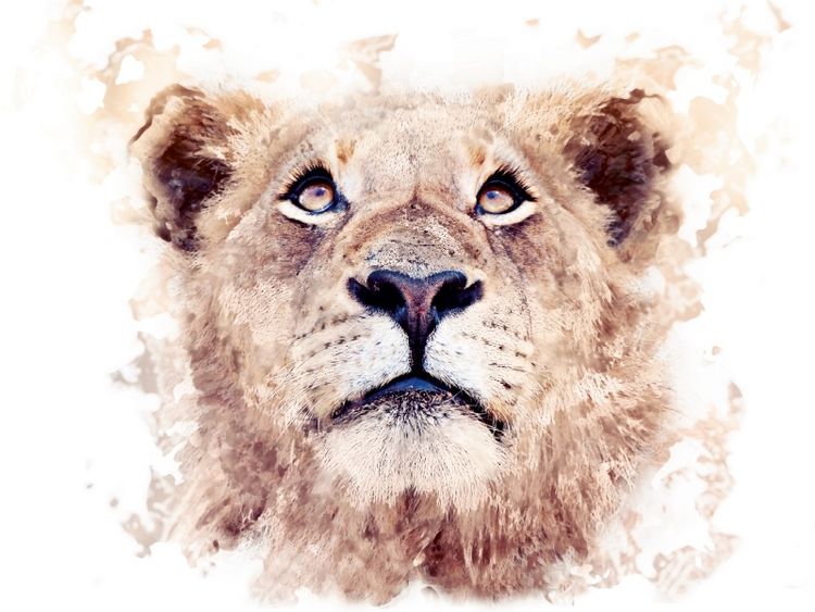 Produktbild: L&ouml;we (Puzzle)