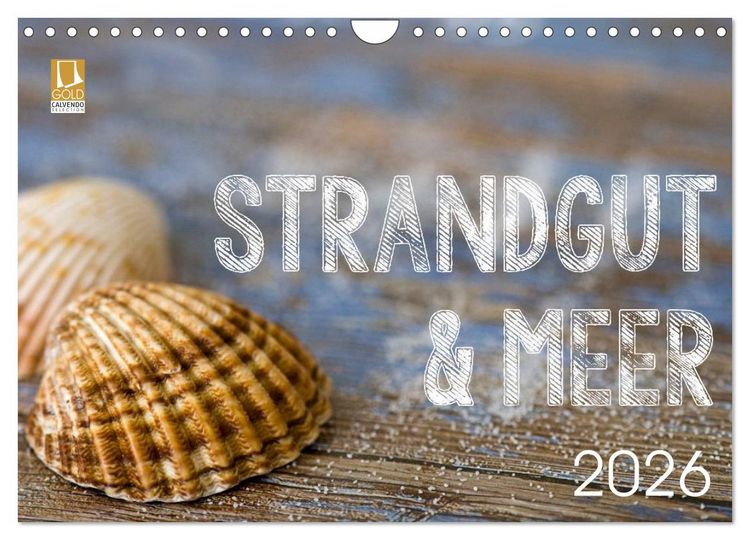 Produktbild: Strandgut und Meer 2026 (Wandkalender 2026 DIN A4 quer), CALVENDO Monatskalender