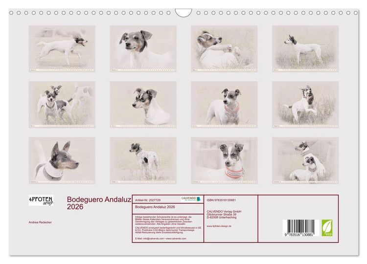 Produktbild: Bodeguero Andaluz 2026 (Wandkalender 2026 DIN A3 quer), CALVENDO Monatskalender