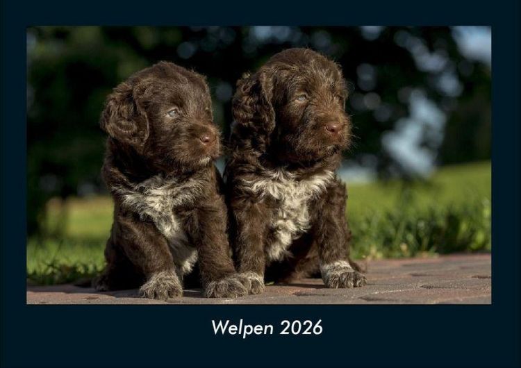 Produktbild: Welpen 2026 Fotokalender DIN A4