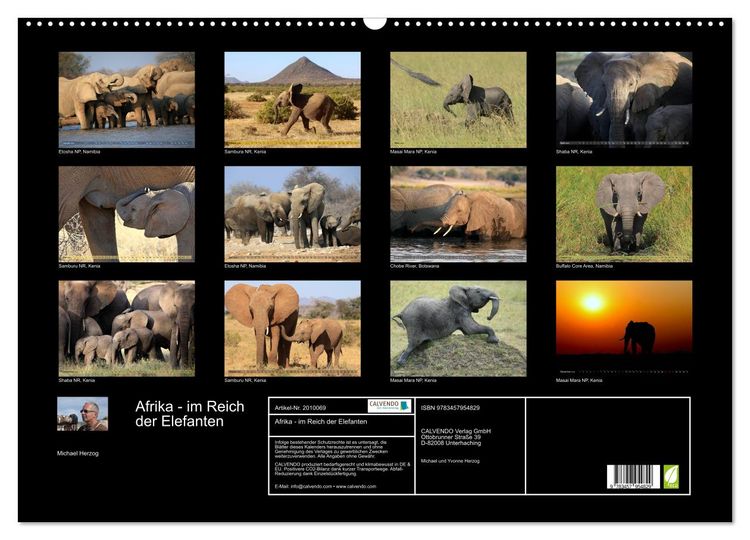 Produktbild: Afrika - im Reich der Elefanten (Wandkalender 2026 DIN A2 quer), CALVENDO Monatskalender
