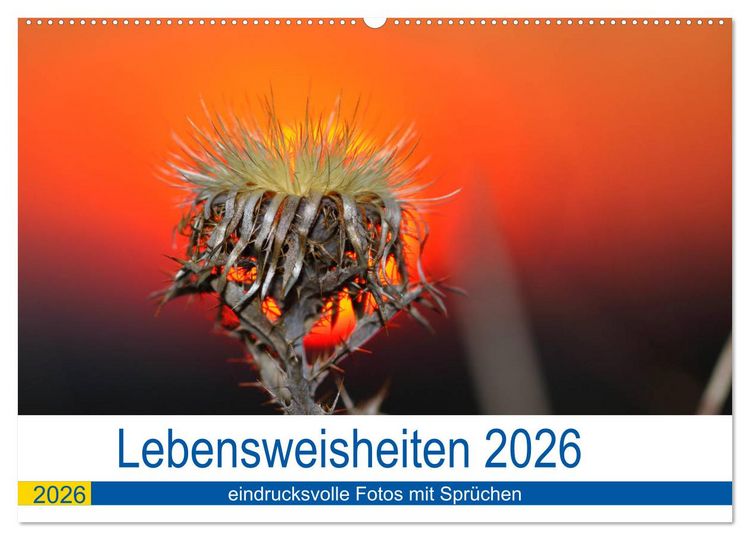Produktbild: Lebensweisheiten 2026 (Wandkalender 2026 DIN A2 quer), CALVENDO Monatskalender