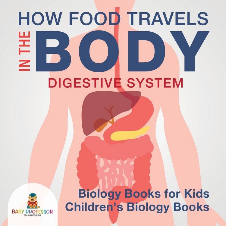 Produktbild: How Food Travels In The Body - Digestive System - Biology Books for Kids | Children's Biology Books