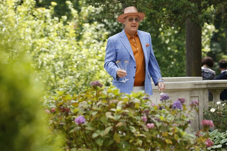 The Blacklist - Season 5 [6 DVDs]